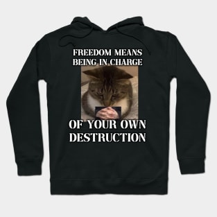 freedom means being in charge of your own destruction Hoodie